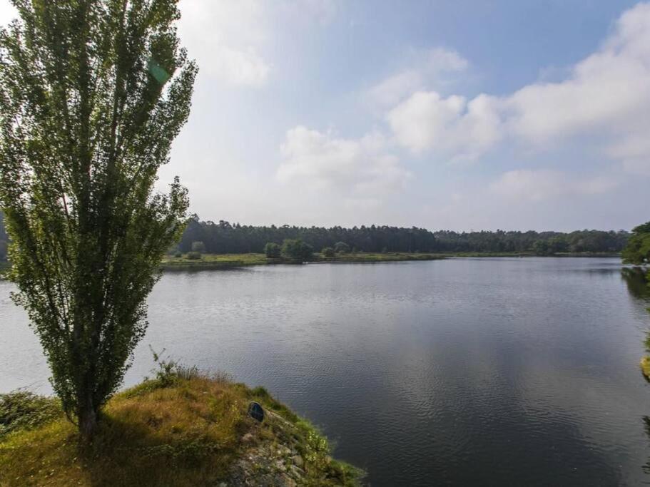Quinta Da Barca House - Nada Melhor Que Juntar Luxo A Lazer Com Mar E Rio! Esposende Ngoại thất bức ảnh